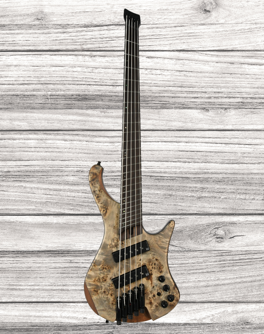 ibanez-ehb1505ms-bif_646634158d730.png