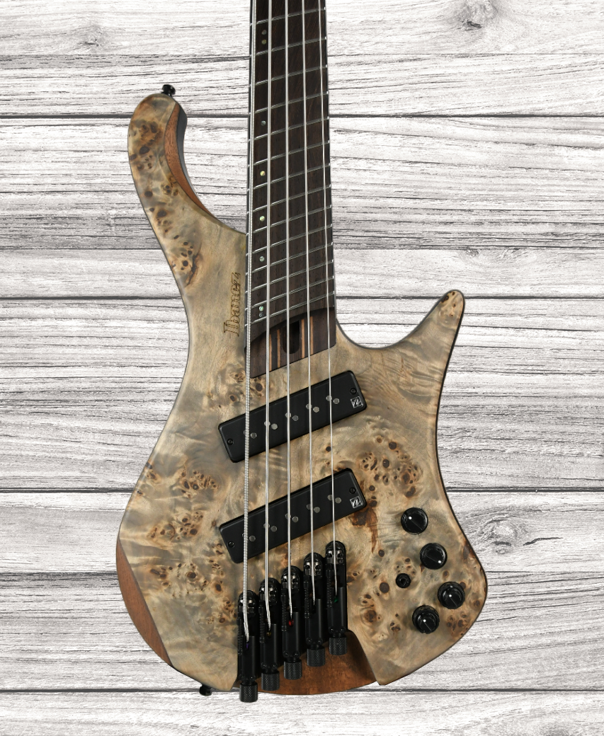 ibanez-ehb1505ms-bif_646634444041e.png