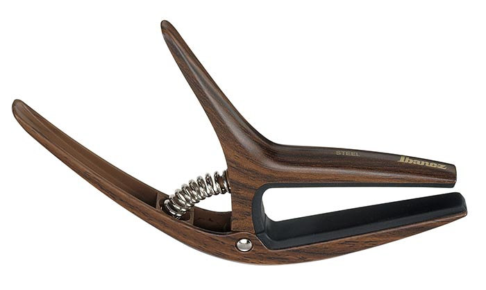 ibanez-icgc10w_69b283b9248a8.png