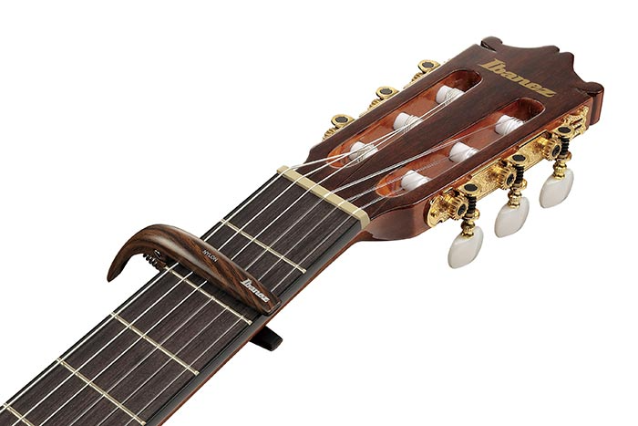 ibanez-icgc10w_69b283bae82a0.png