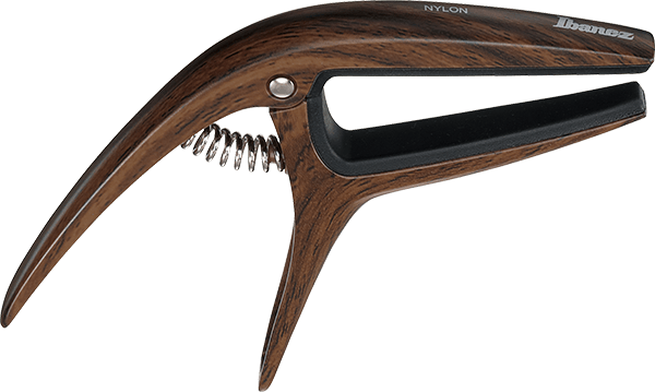 ibanez-icgc10w_69b283f09626e.png