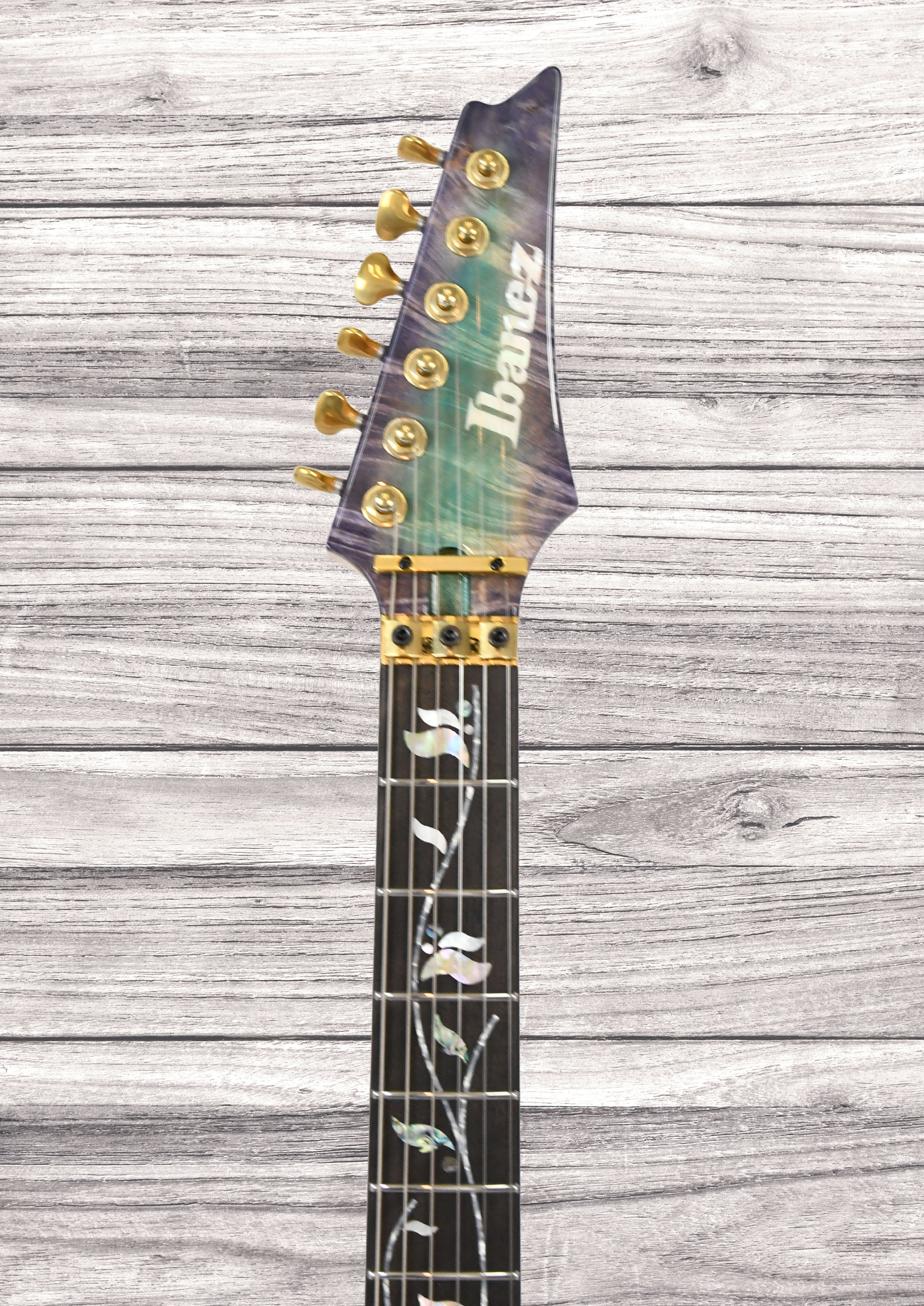 ibanez-iv2rg-visions-rg_6a561019c415c.jpg