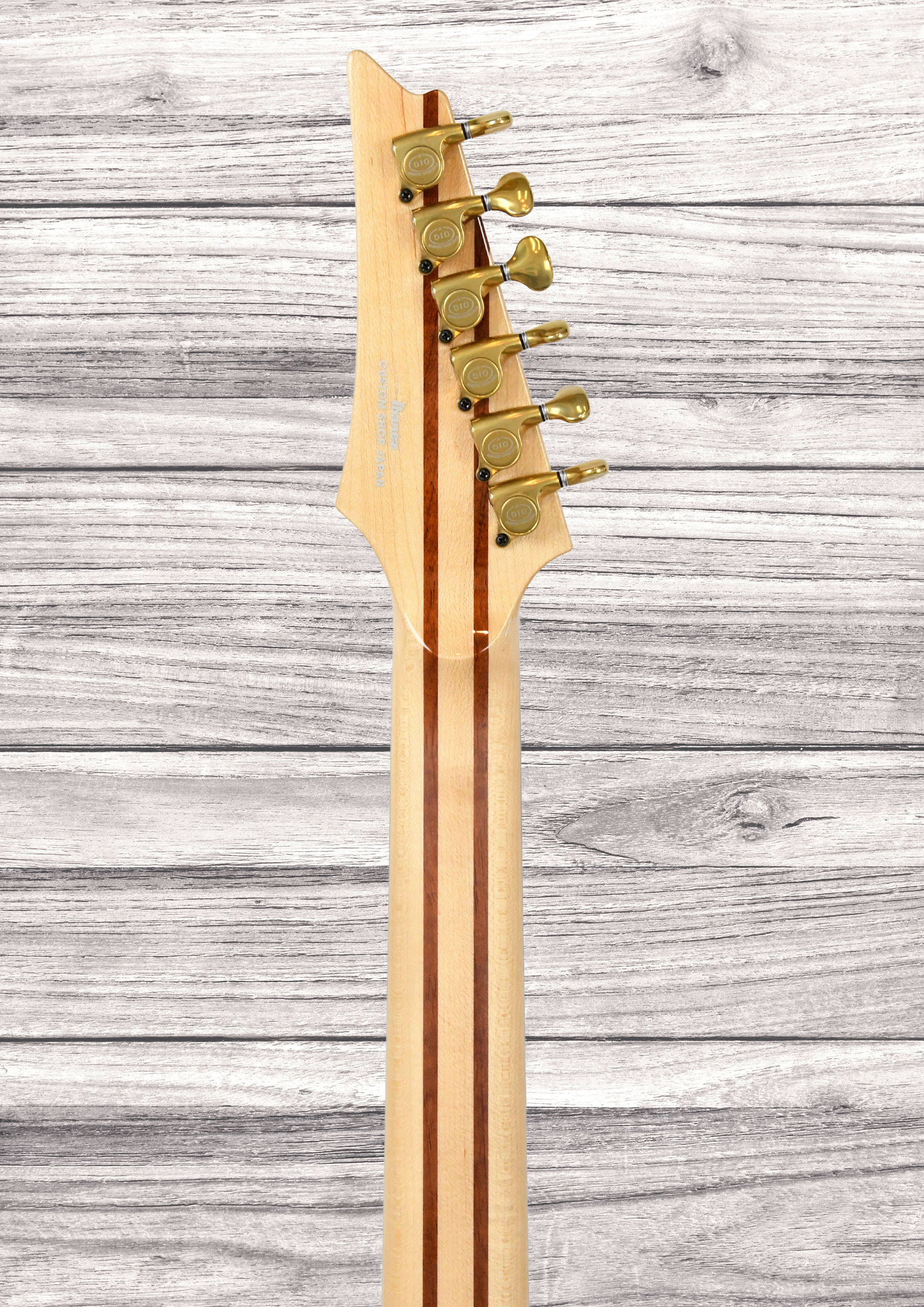 ibanez-iv2rg-visions-rg_6a56101c54263.jpg