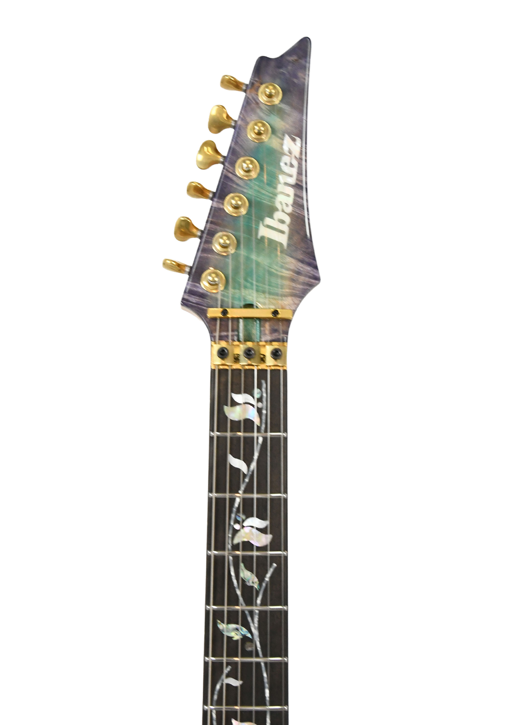 ibanez-iv2rg-visions-rg_6ad0e59f69caa.jpg