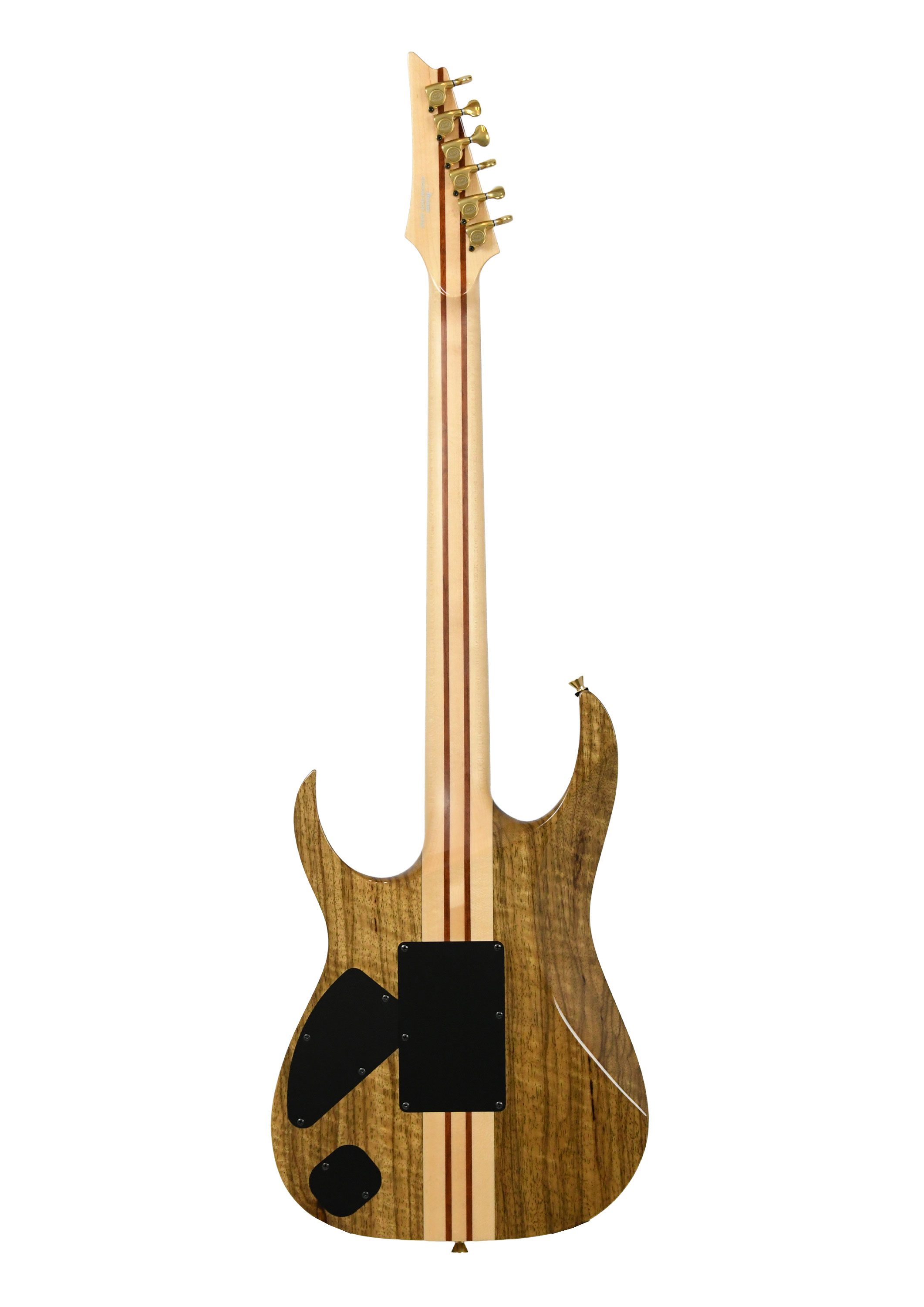 ibanez-iv2rg-visions-rg_6ad0e5a6bfeac.jpg