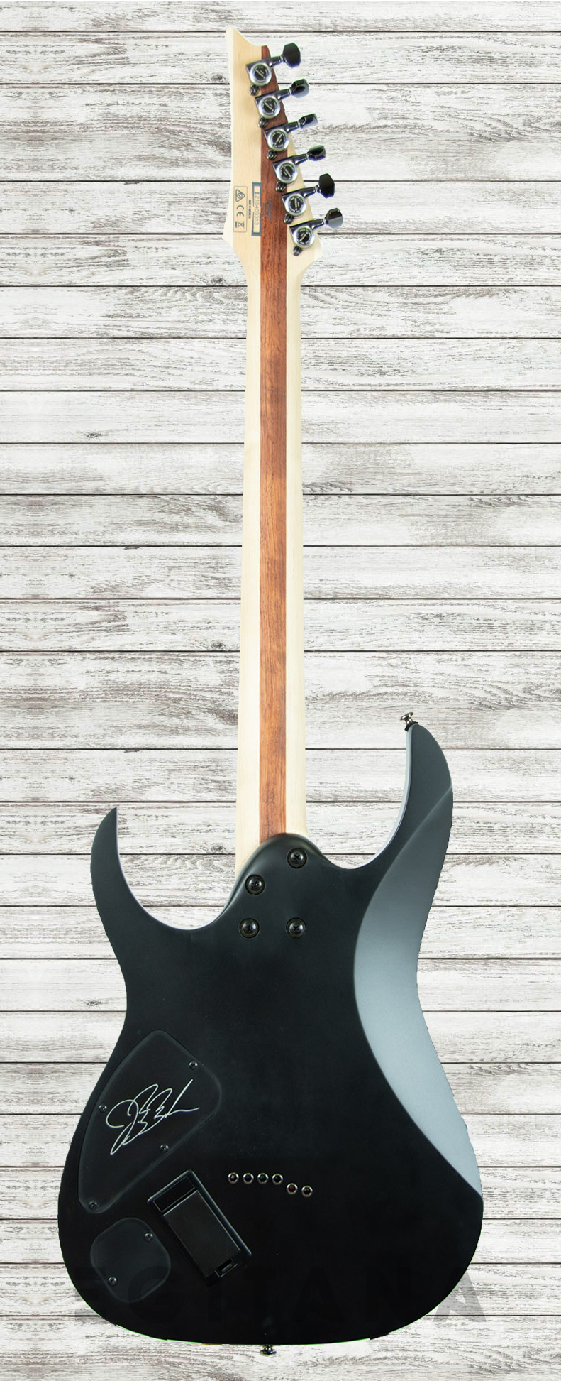 ibanez-jbbm30-bkf-jb-brubaker_60f970e39125b.png