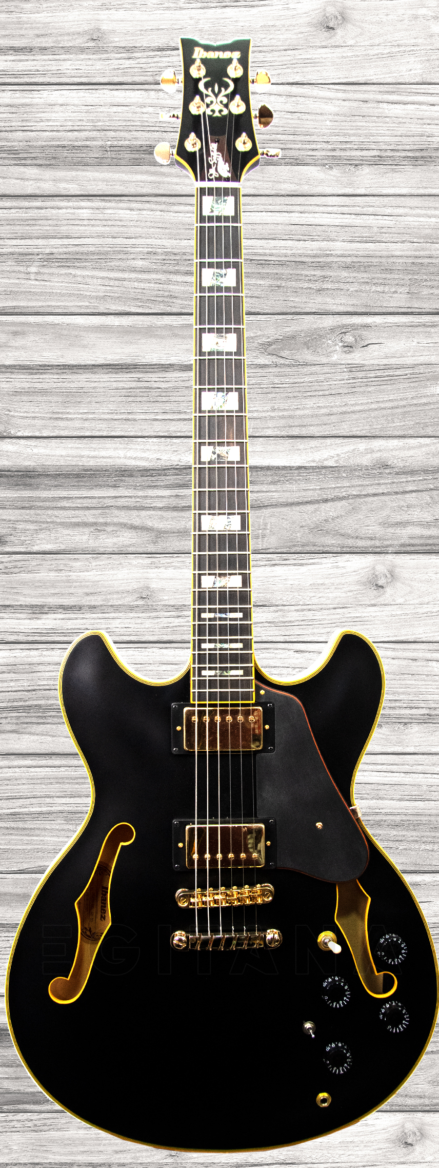 ibanez-jsm-20-black-low-gloss_5f69b37d3c15e.jpg