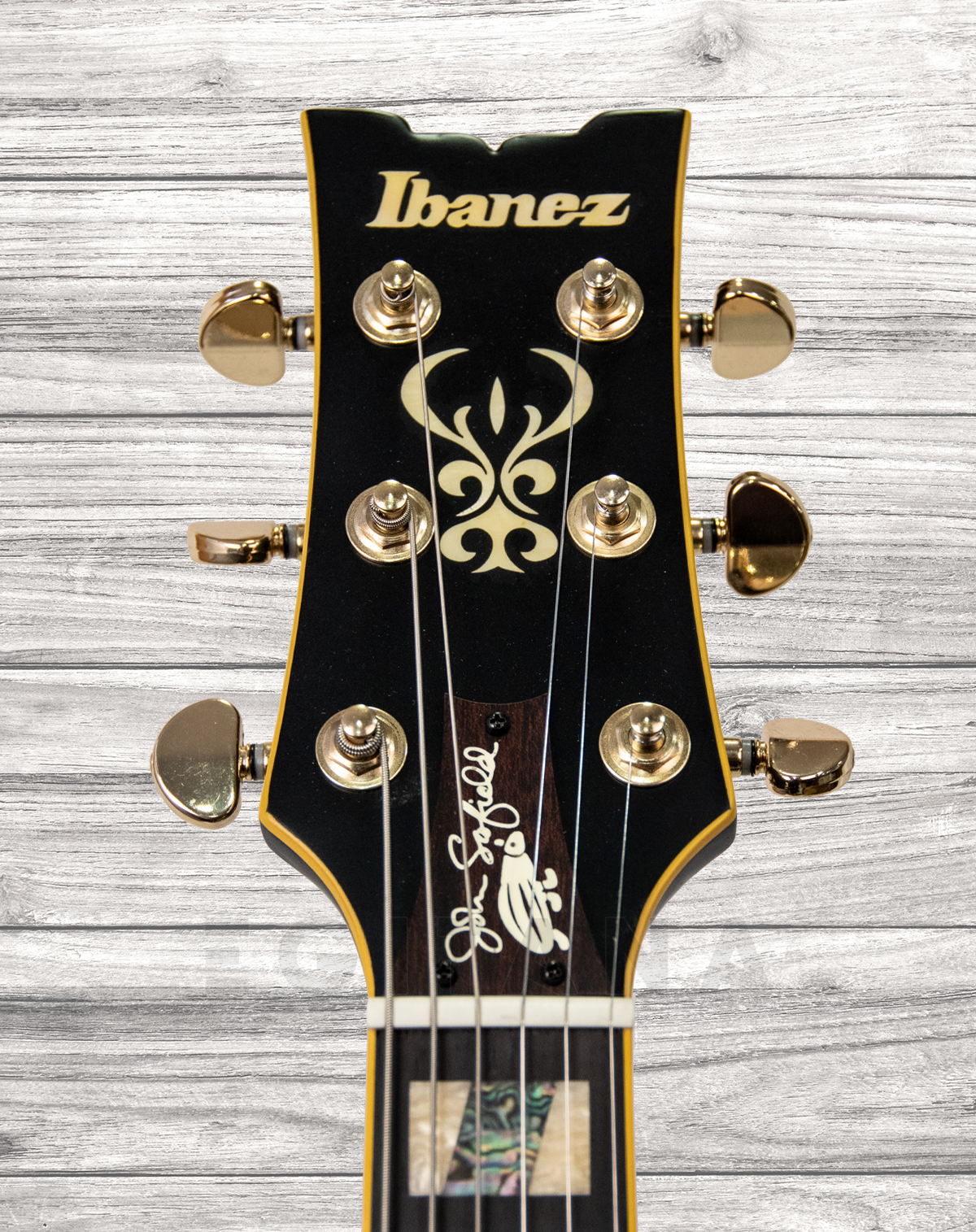 ibanez-jsm-20-black-low-gloss_5f69b37f4a5ea.jpg