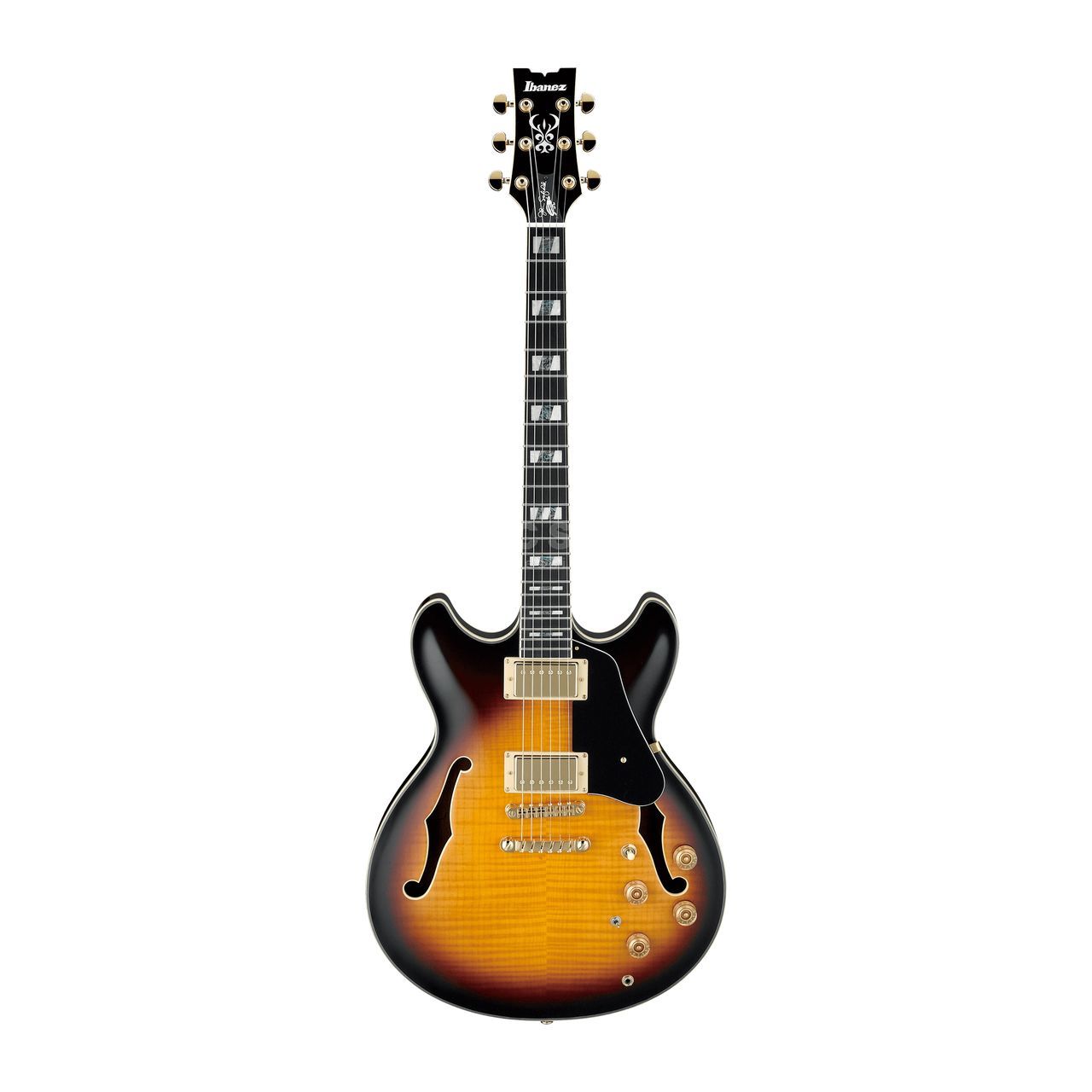 ibanez-jsm10-vys-john-scofield_5f218cc6ec4ca.jpg