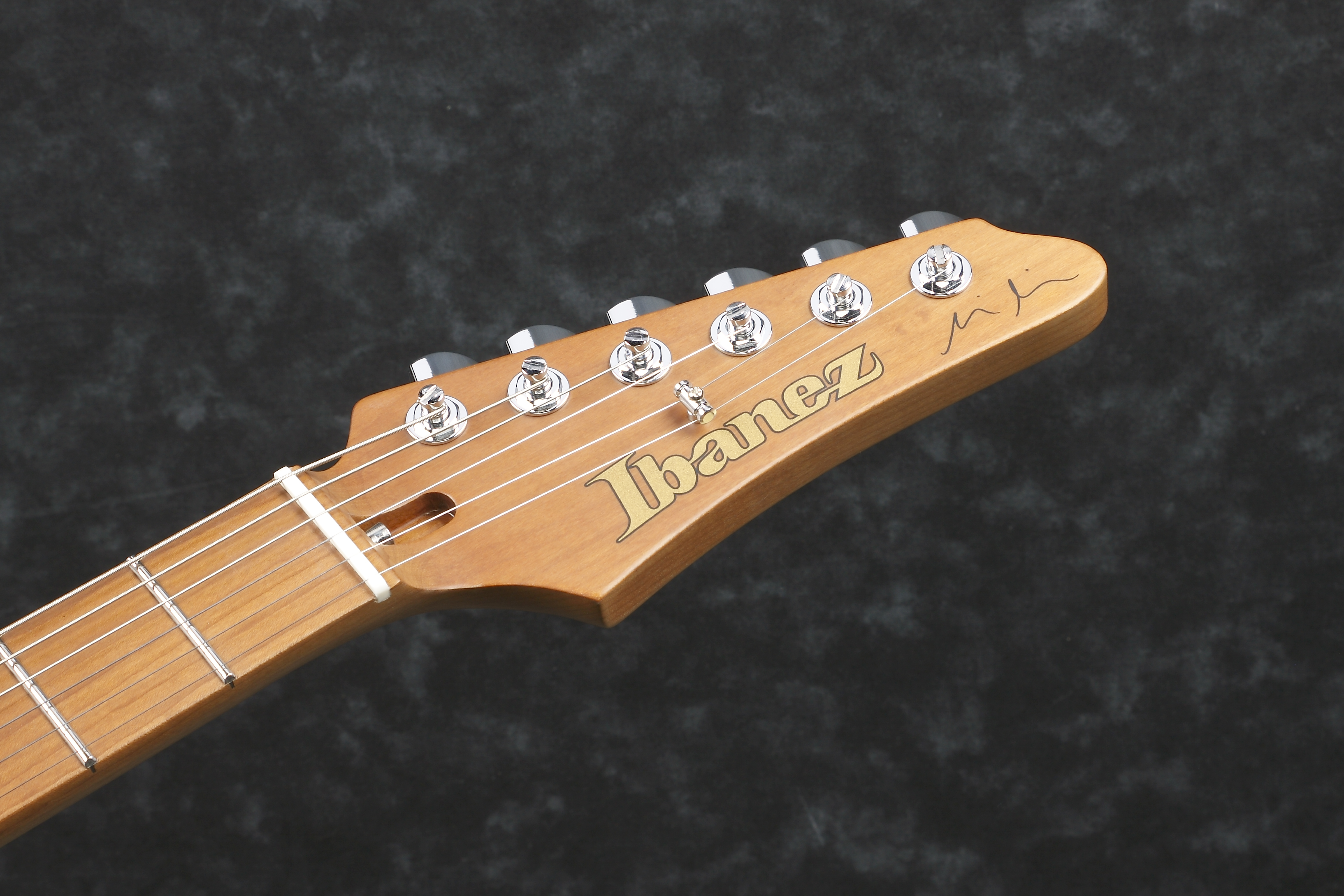 ibanez-mmn1-tab-martin-miller_6a69c51d93b7f.jpg