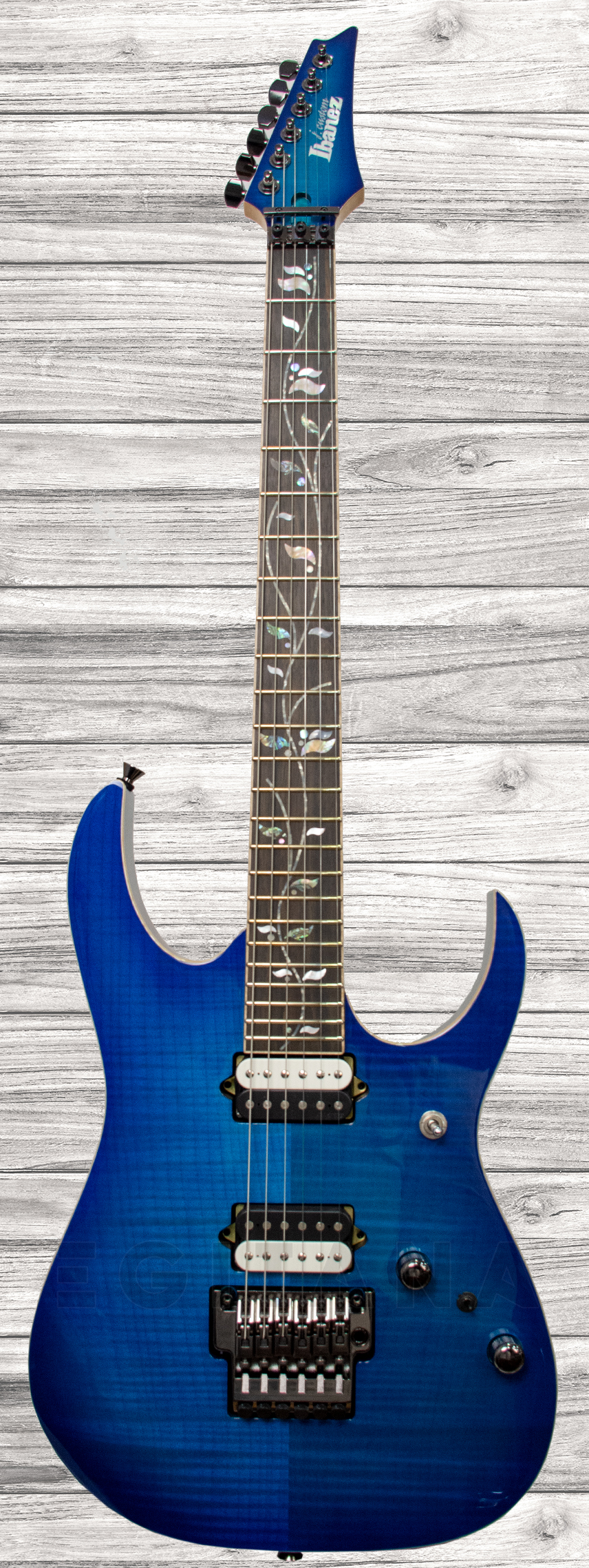 ibanez-rg8520-jcustom_5f21573a3197a.jpg