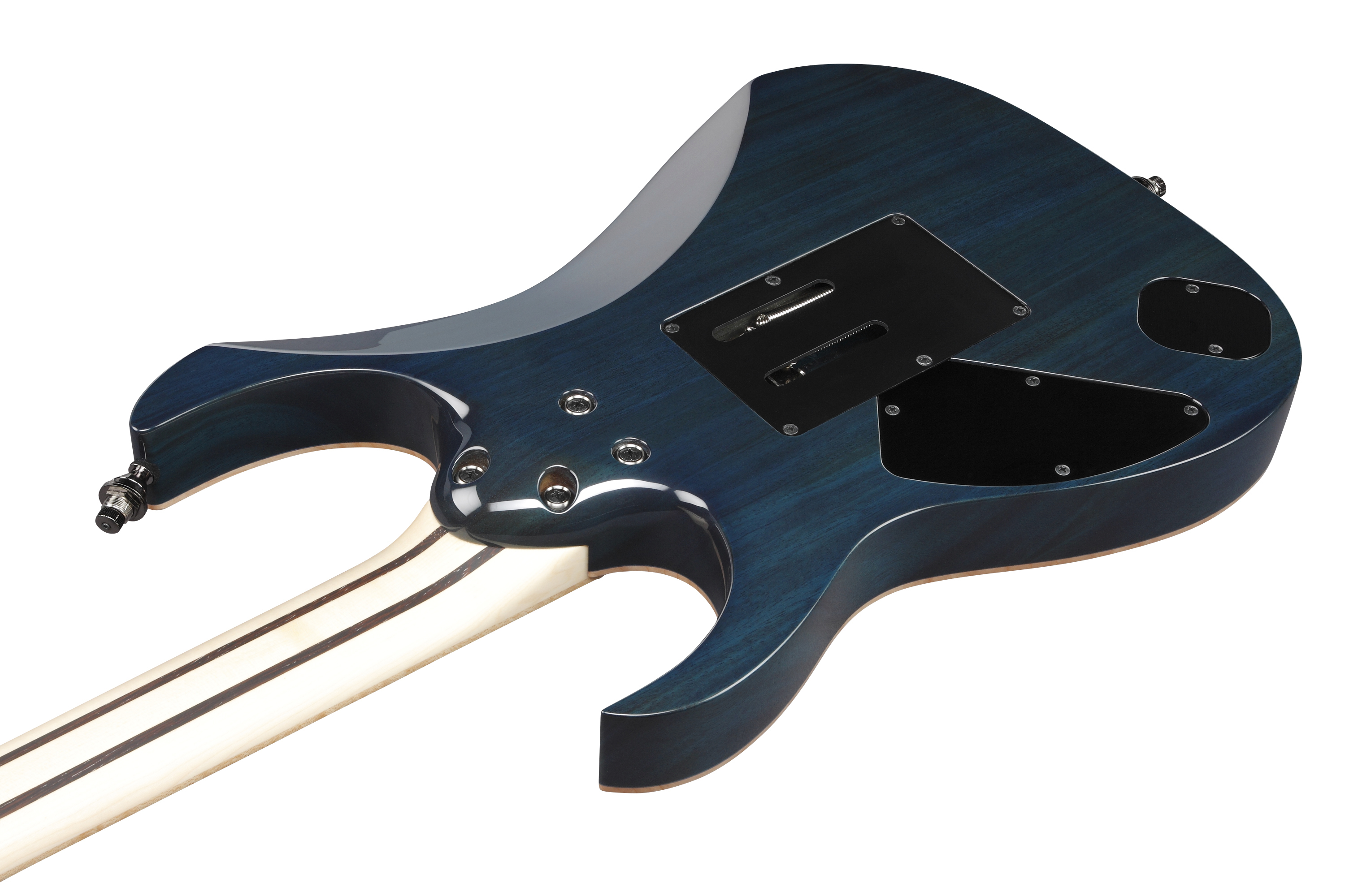 ibanez-rg8570rbs-rg-jcustom-6str-electric-guitar-w-case-royal-blue-sapphire-770_6a6a13d02a81f.jpg