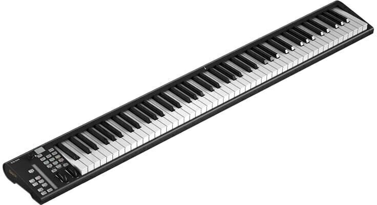 icon-pro-audio-artist-88x_6a2c0a248b6dd.png
