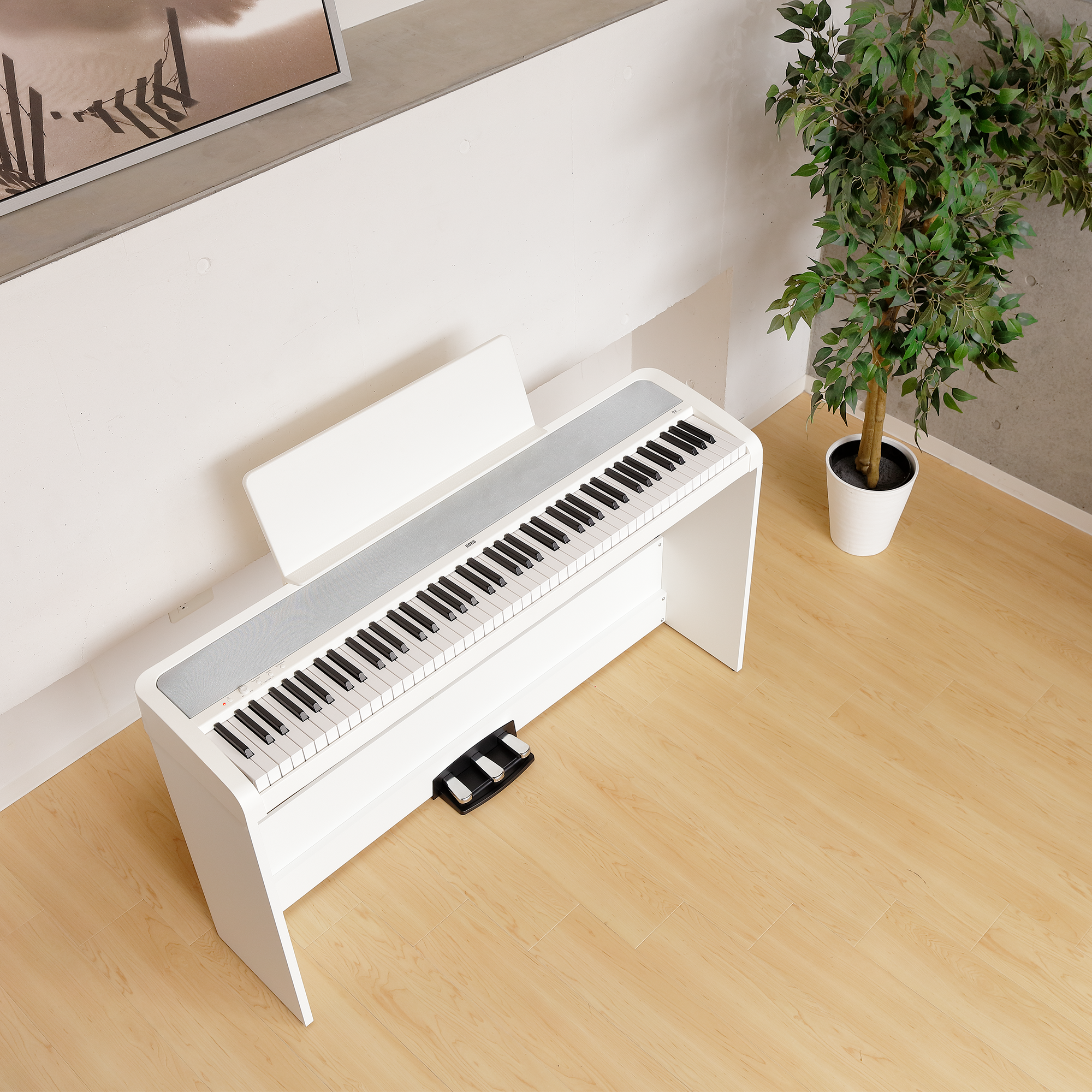 korg-b2-sp-white_6557757e2bed6.png