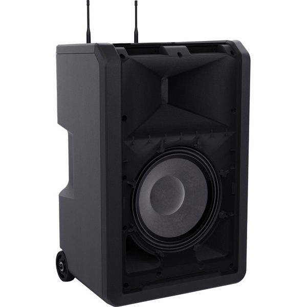 ld-systems-anny-10-hhd-2-b8_6a7b32d8170e1.jpg