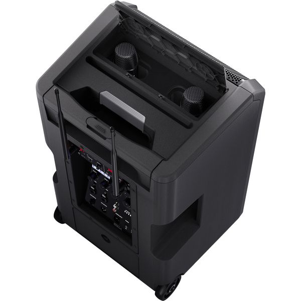 ld-systems-anny-10-hhd-2-b8_6a7b32db5c5dd.jpg