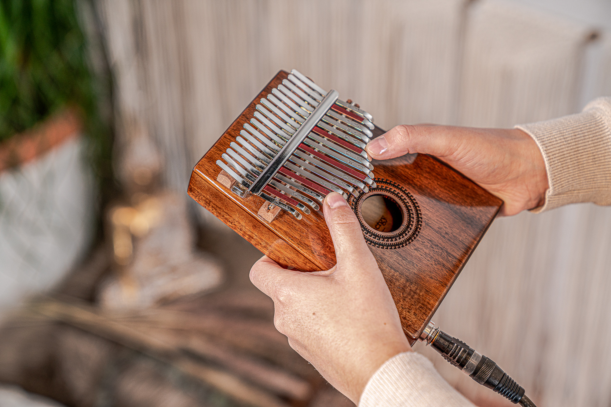 meinl-17-notes-pickup-kalimba-acacia_6708e35ee10e0.jpg