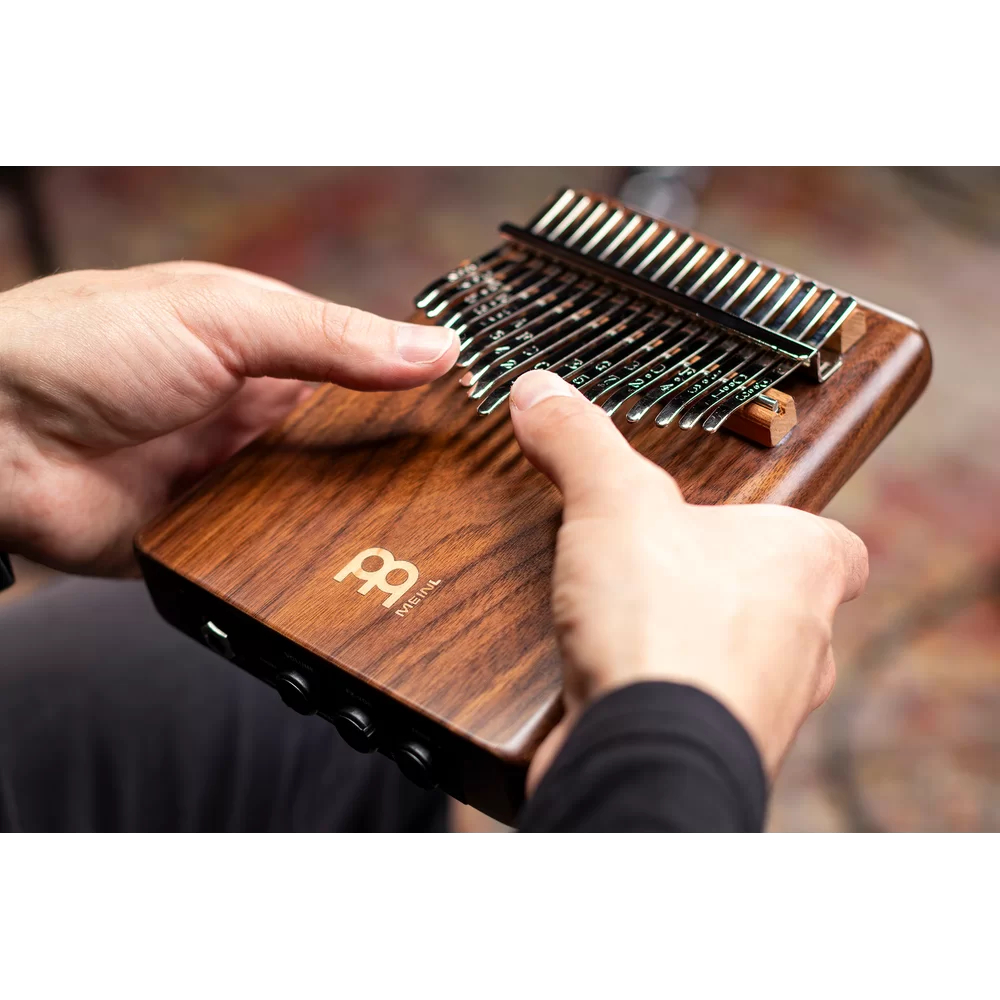 meinl-solid-pickup-kalimba_69a16e6eedb81.jpg