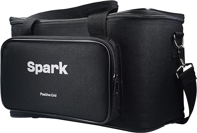 po-si-ti-ve-grid-spark-traveler-gig-bag_66aca519aa2ae.jpg