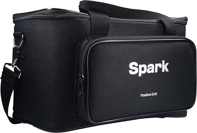 po-si-ti-ve-grid-spark-traveler-gig-bag_66aca51fc7448.jpg