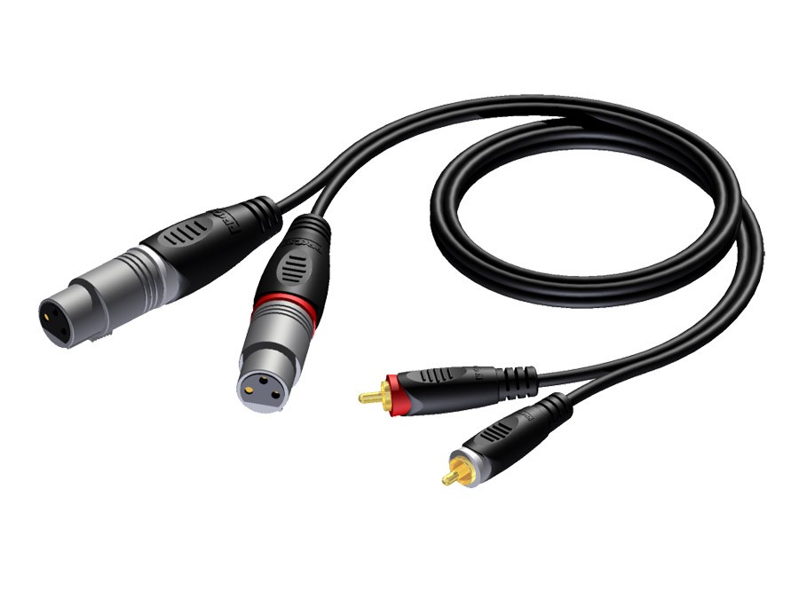 procab-2-x-xlr-female-2-x-rca-cinch-male-3-metros_5c2e259b65ef4.jpg