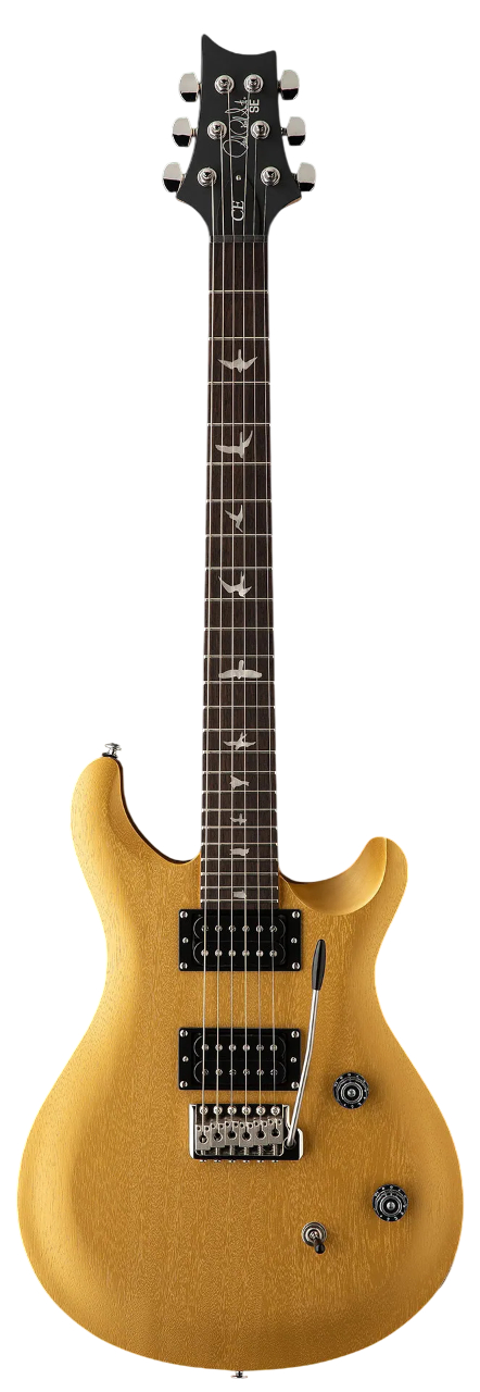 prs-se-ce24-standard-satin-metallic-gold-2025_68dfdac6bc7a7.jpg