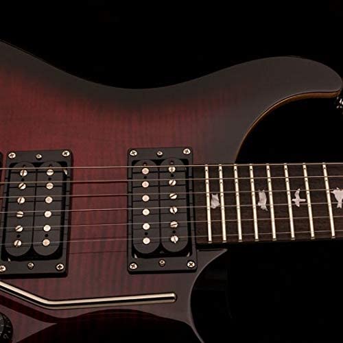 prs-se-custom-24-floyd-rose-fire-red_5e9da53dd3d4a.jpg