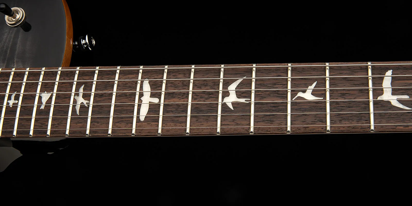prs-se-mark-tremonti-charcoal-burst-2025_69bbec1bea2c3.jpg