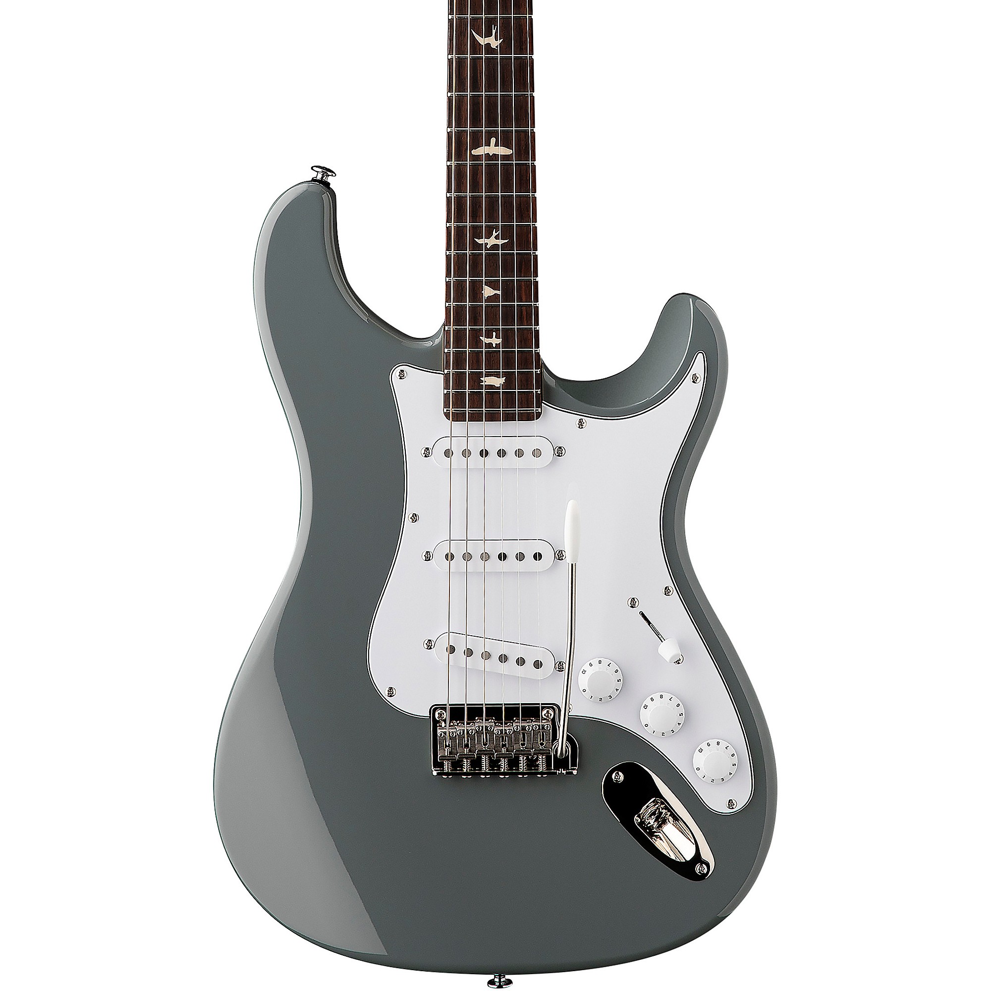 prs-se-silver-sky-storm-gray_6509613f2621a.jpg