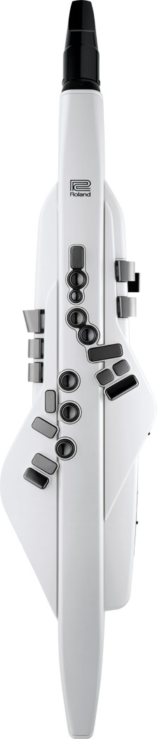 roland-aerophone-ae-20w-white-saxofone-eletronico-zen-core-usb-bluetooth_6419c3ba79608.jpg