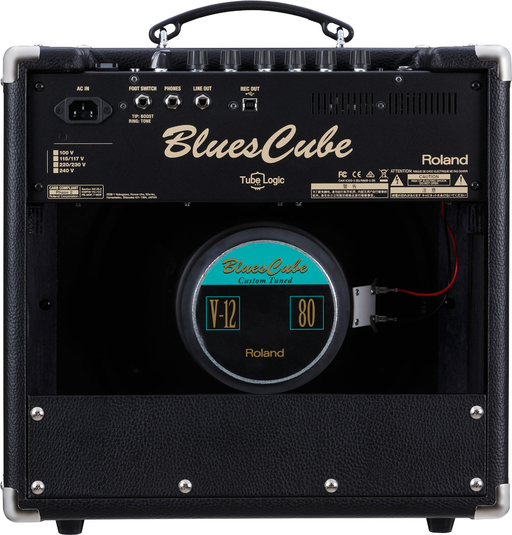 roland-blues-cube-hot-bk_599e9a1b6017a.jpg