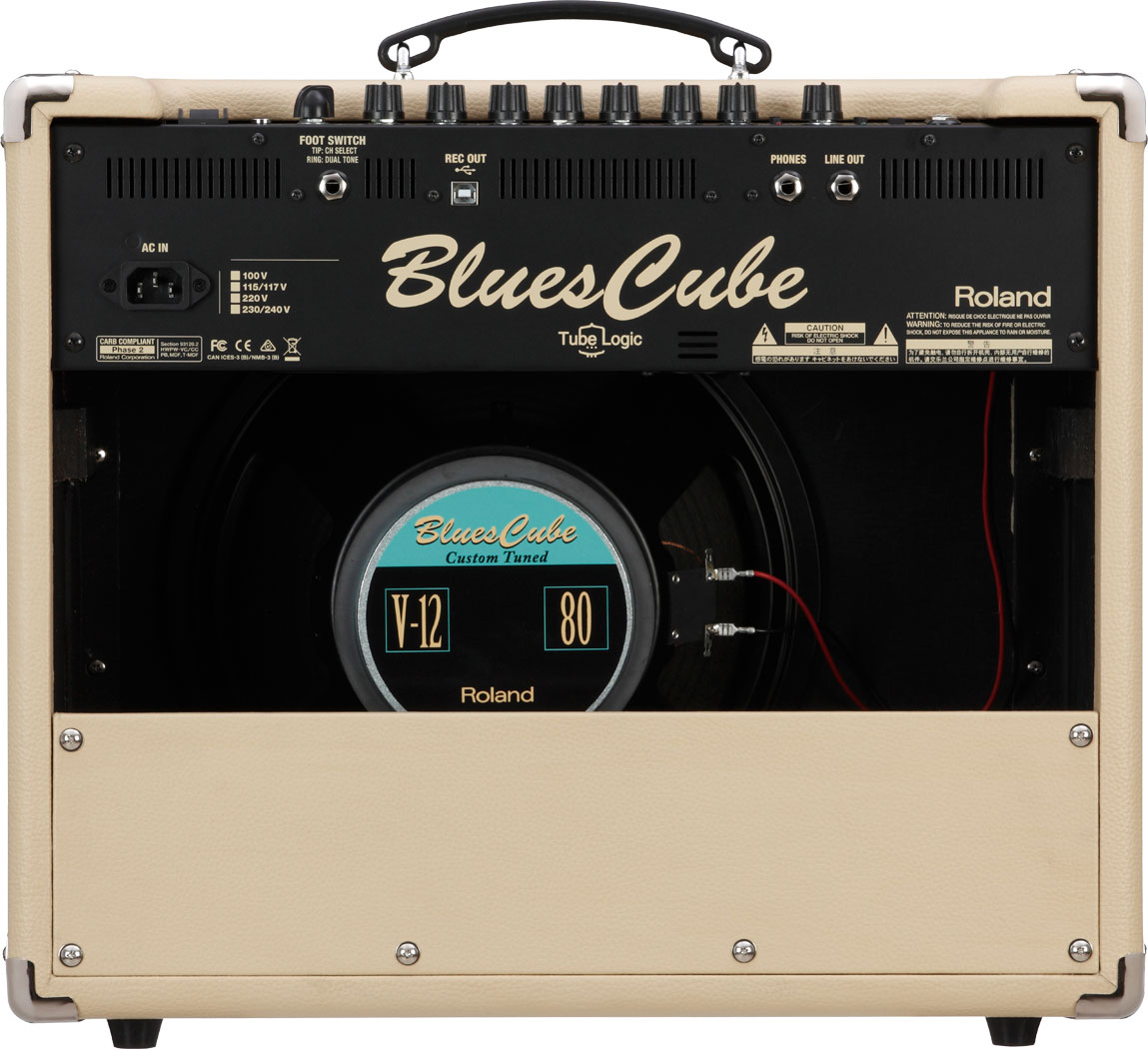 roland-blues-cube-stage_599efa9879dab.jpg