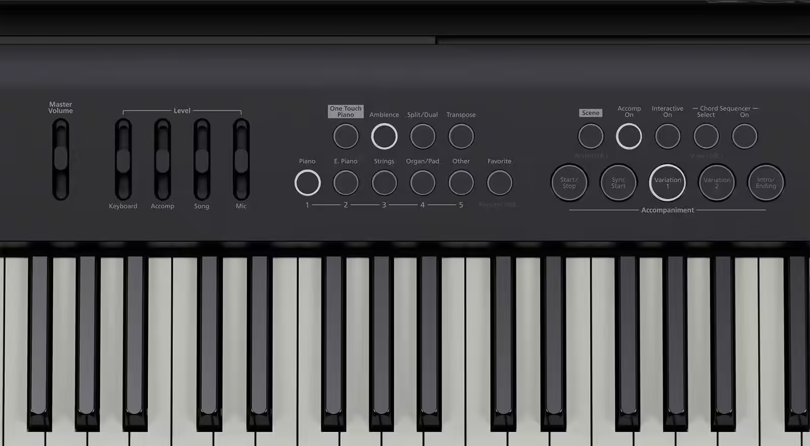roland-fp-e50-painel-de-controlos_66fbb95bbdfeb.png