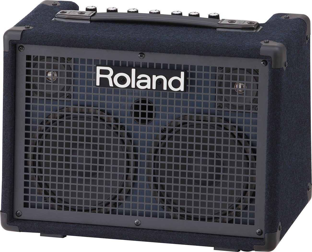 roland-kc-220_59f0b5e2190cd.jpg