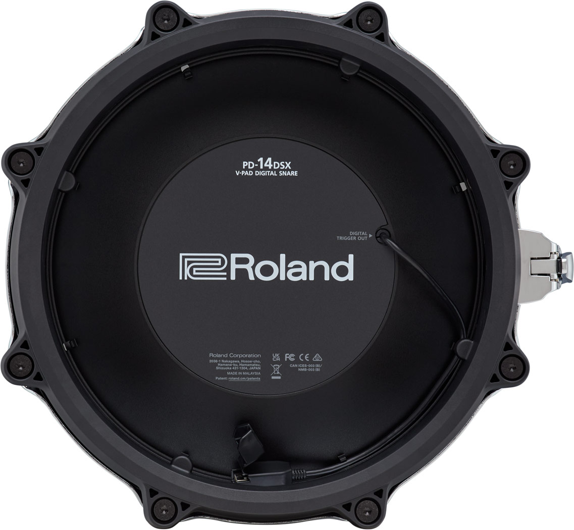 roland-pd-14dsx_6a01b828bcf93.jpg
