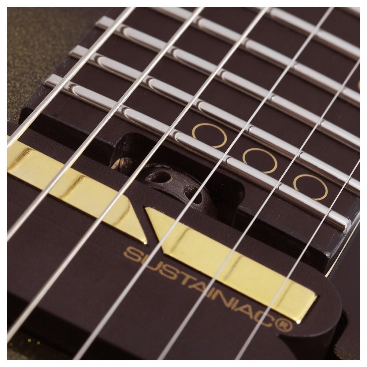 schecter-c-1-fr-s-50th-anniversary_69bd6f0a3850a.jpg