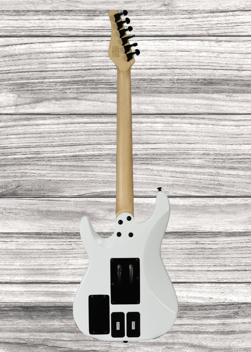 schecter-sun-valley-super-shredder-frs_65e0a2a8841f0.png