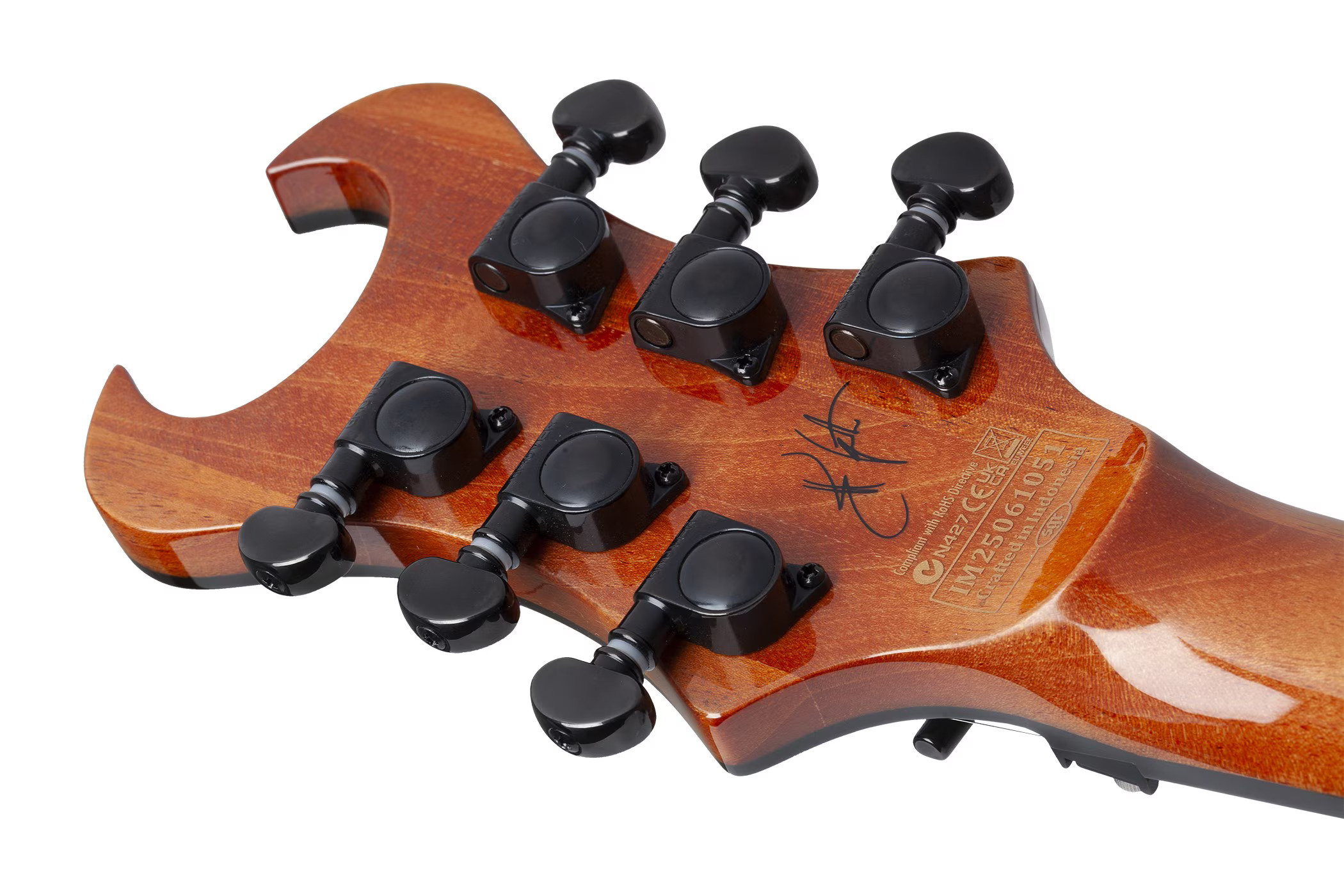schecter-synyster-std-plus-fr-gn_6a858b3ad2c85.jpg