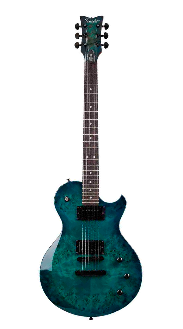 schecter_67b4a22658516.png