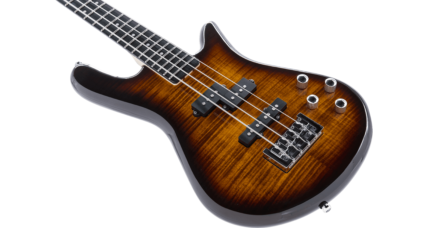 spector-standard-4-tobbaco-sunburst_63e27dbabd64a.png