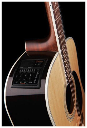 takamine-ef360gf-glenn-frey-w-softcase_68ade040491d9.png