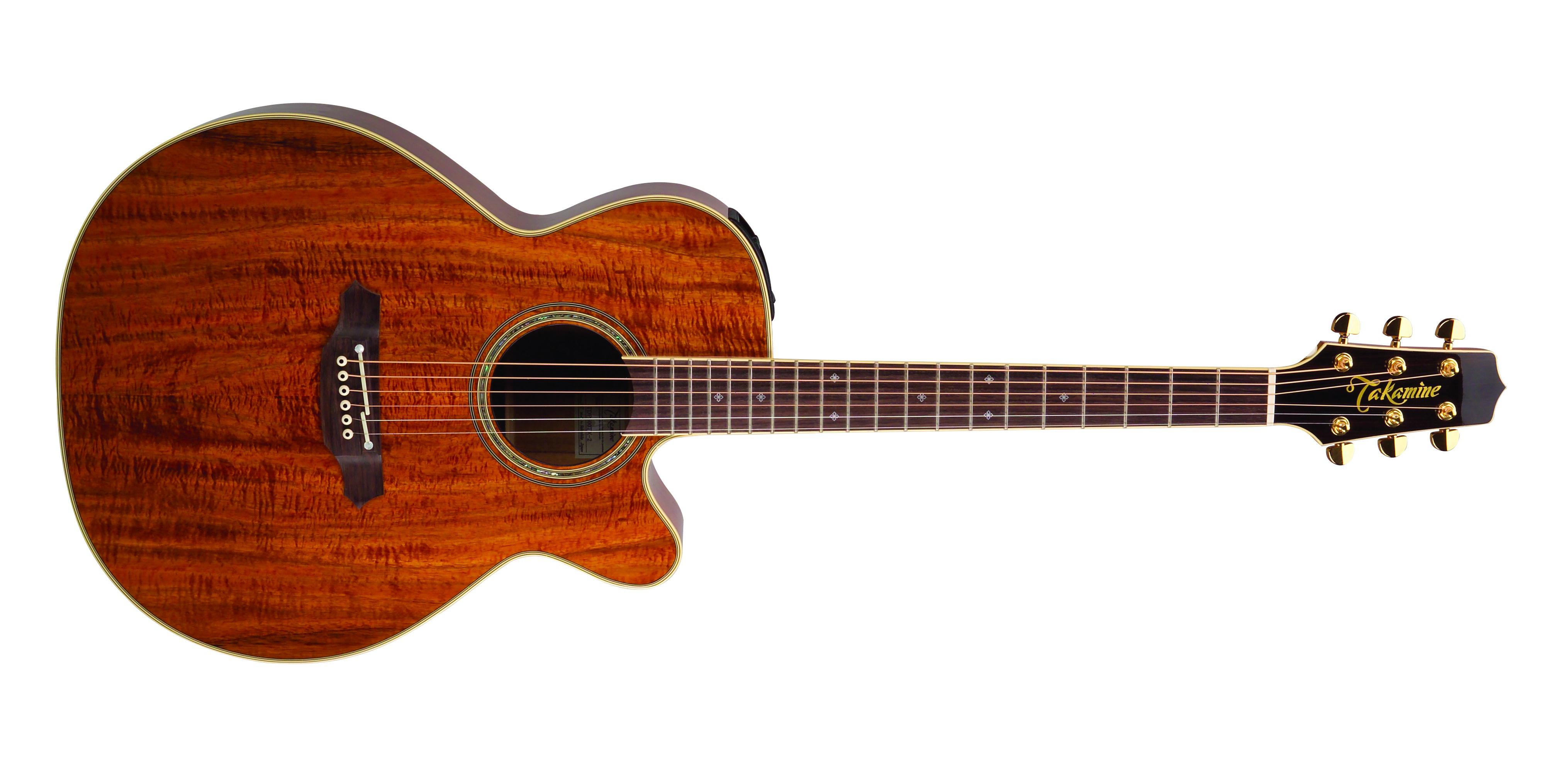 takamine-ef508kc_5b3e4983b3914.jpg