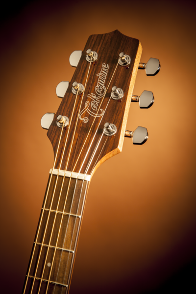 takamine-gd30ce-n_5ec2734830691.png