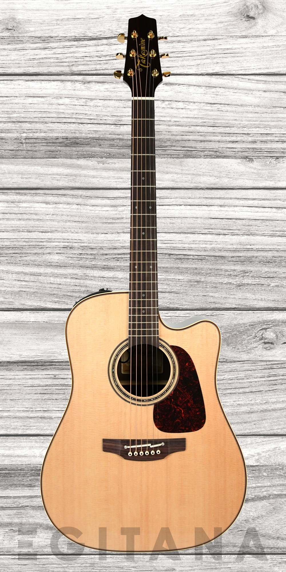 takamine-p5dc_635fea60cd0f4.jpg