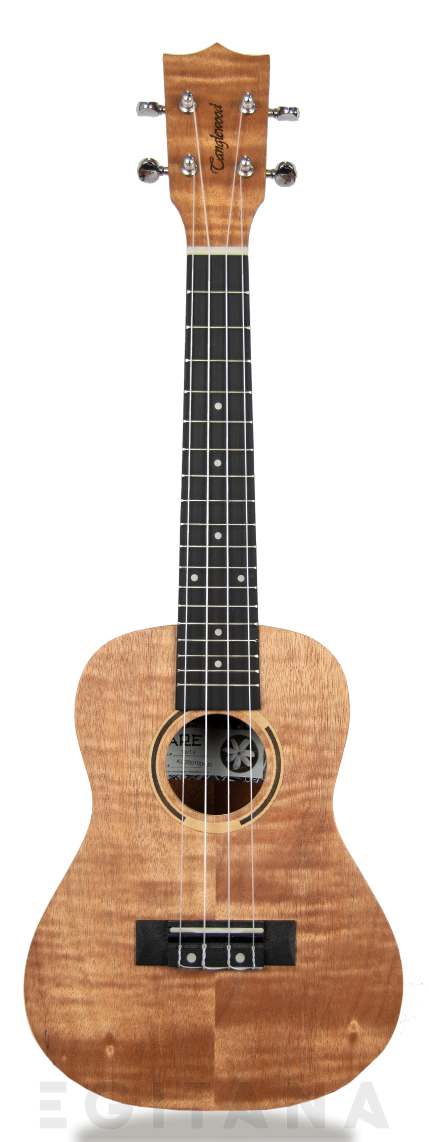 tanglewood-tiare-twt-6_605dc65d13aff.jpg