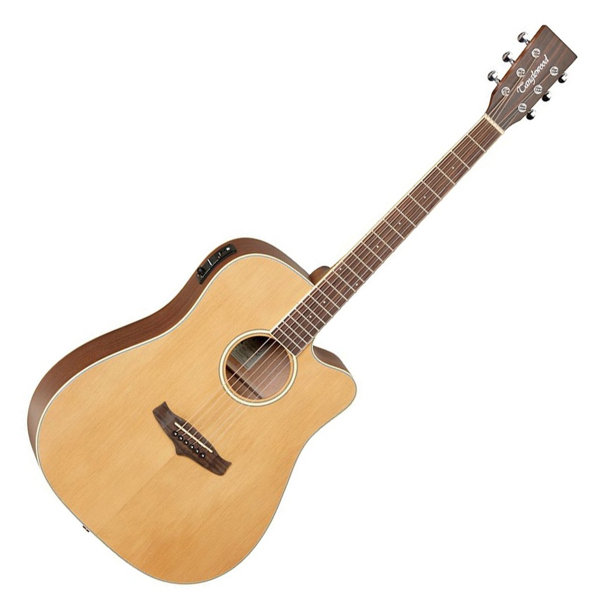tanglewood-tw10_5addf669de4c8.jpg