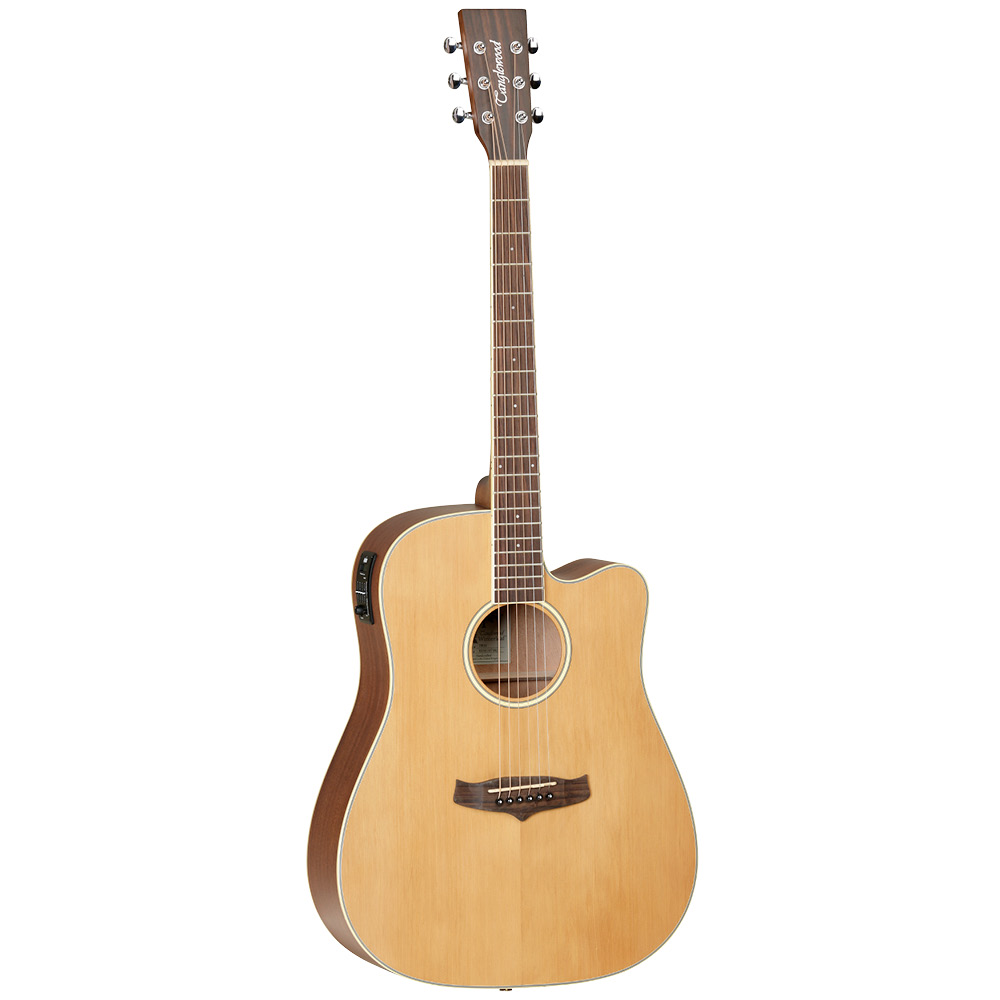 tanglewood-tw10_5addf66ab4b6f.jpg