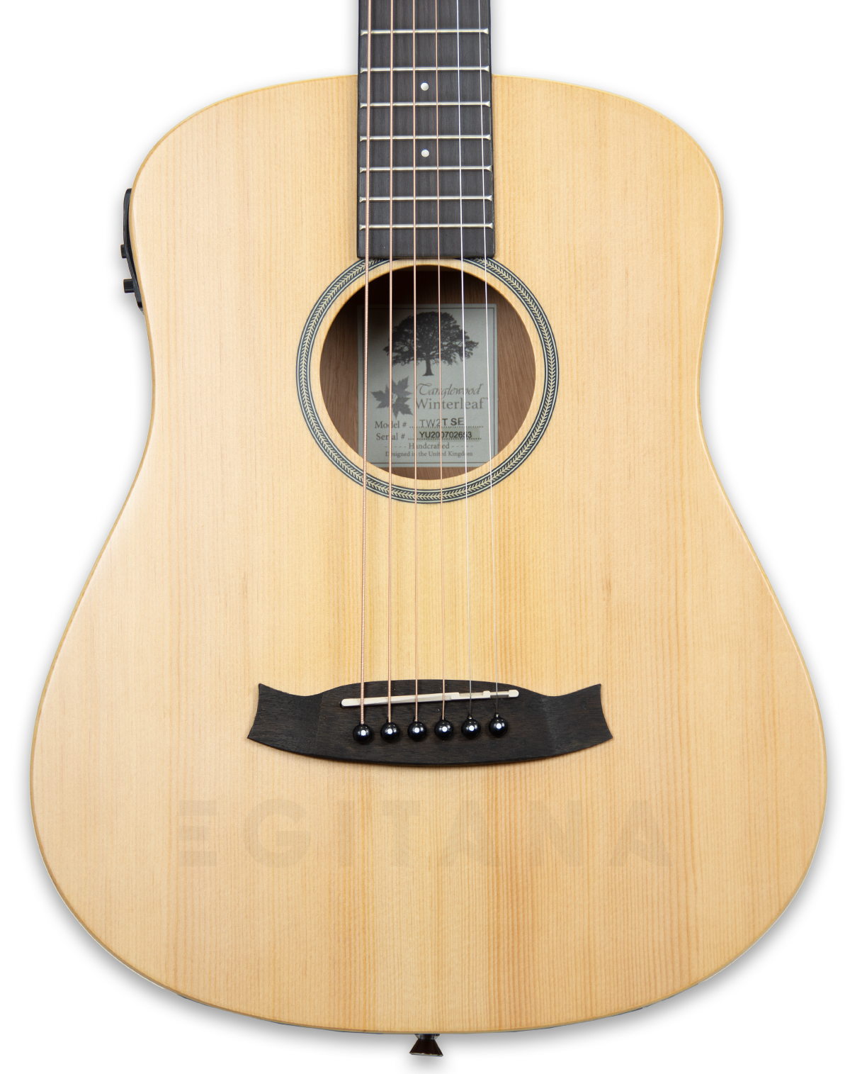 tanglewood-tw2-tse_606b10509ea91.jpg
