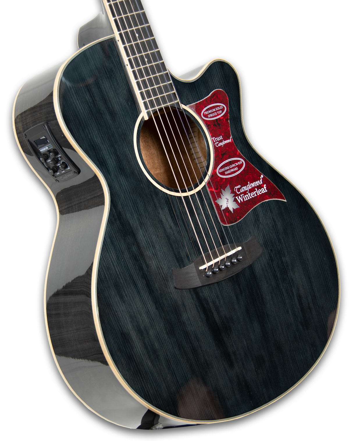 tanglewood-tw4-bs_62b5cef965329.jpg