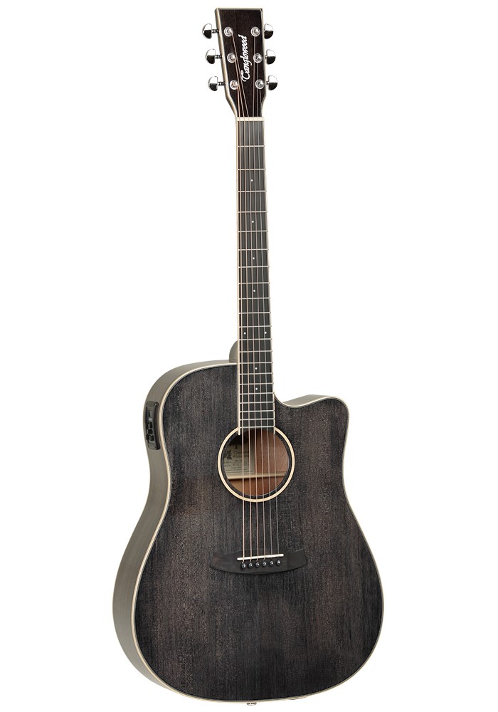tanglewood-tw5-bs_5eafde161484e.jpg